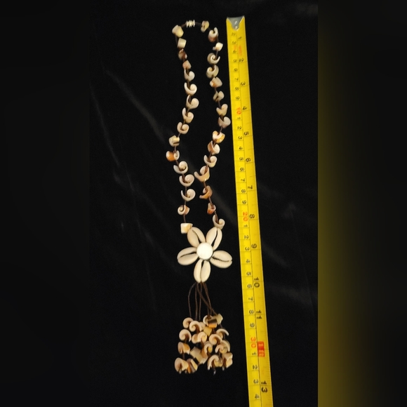 Shells , shells , and more shells - Picture 3 of 3